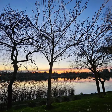 Sapphire - 20 Min To Paris * Creteil